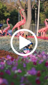 BIB:  <button type="button" onclick="openModal(27588681)" class="btn btn-primary btn-sm float-right" data-toggle="modal" data-target=".modal-high-quality">
                <i class="fa fa-download"></i> Download
                </button>